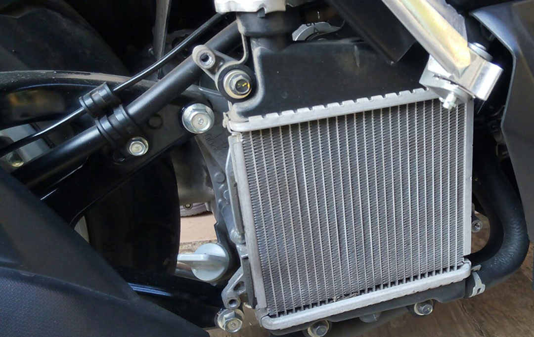 Radiator motor